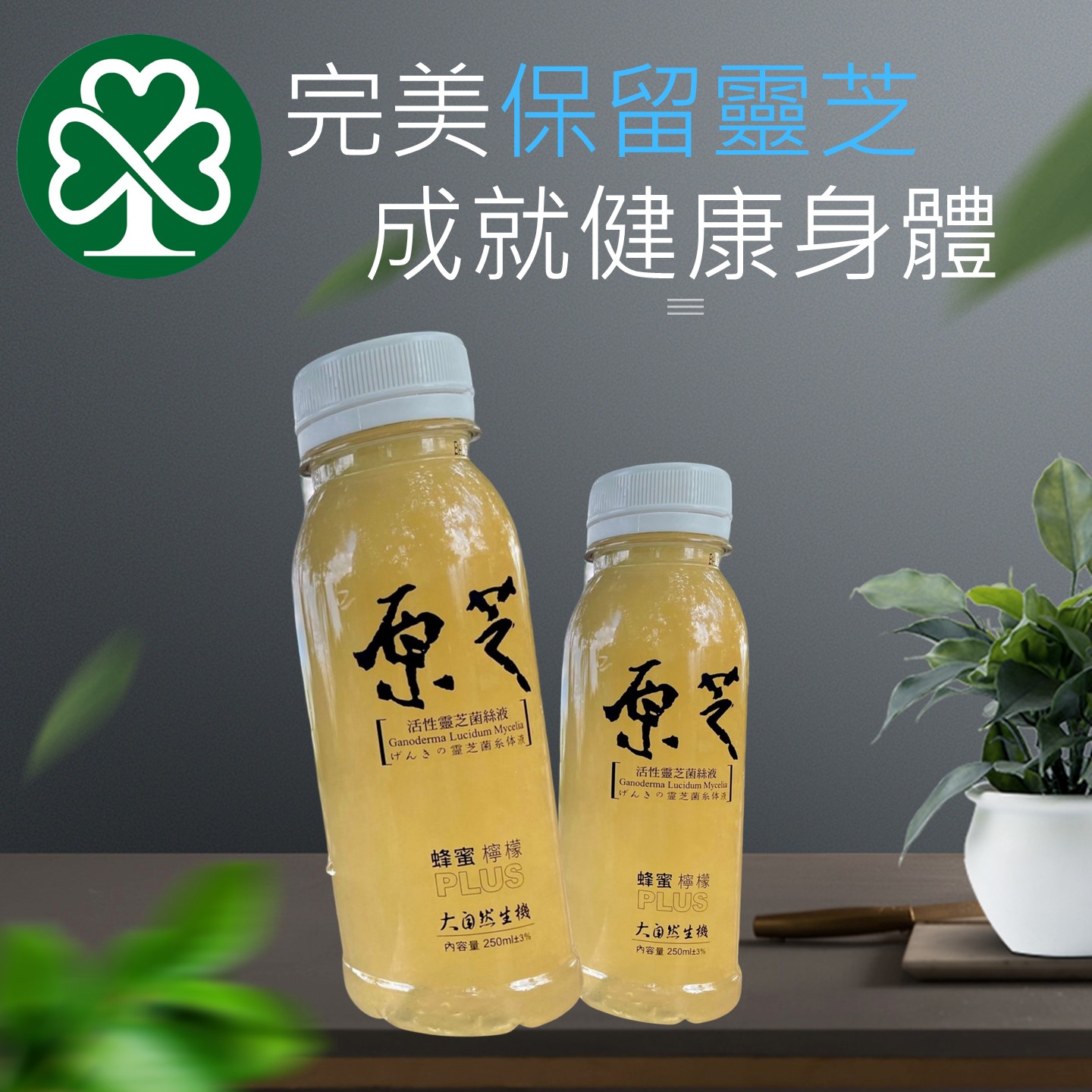 【原芝】蜂蜜檸檬口味